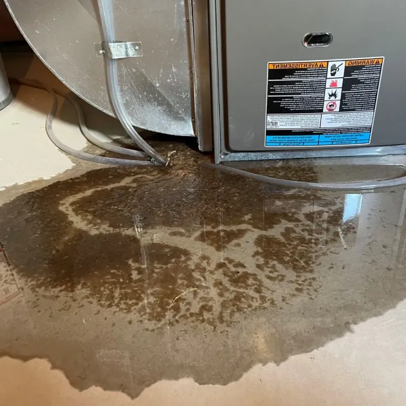 Pipe Burst and Leak Restoration in Maple Heights, OH