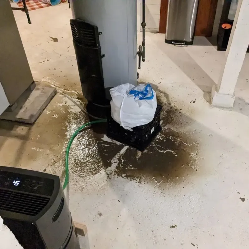 Sewage Backup Cleanup Service in Maple Heights, OH